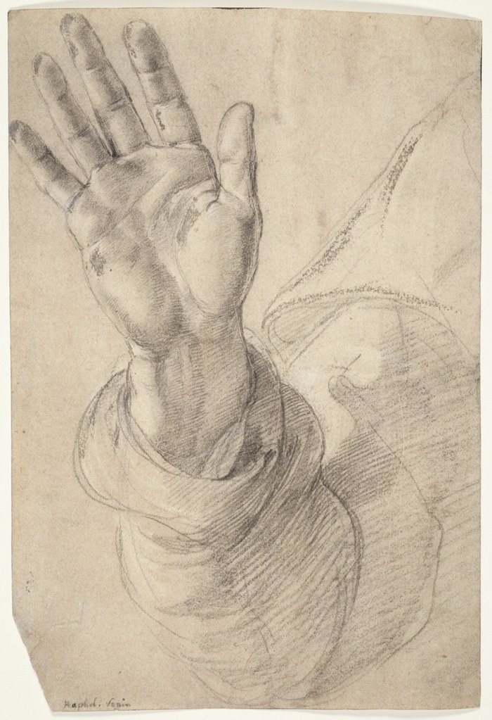 A drawn study of an open hand by Raphael.